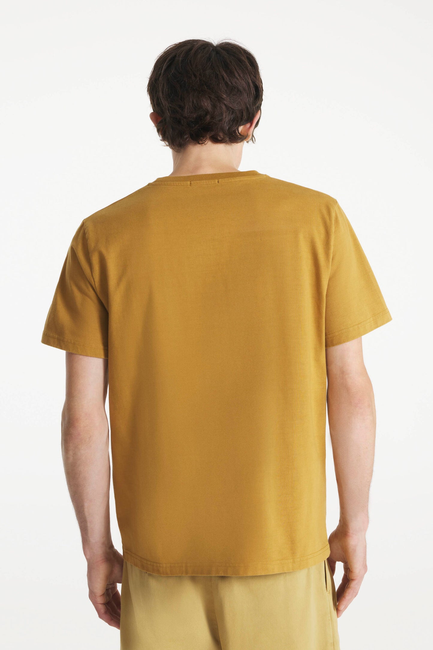 TOBIN brown T-shirt, Le Mont St Michel