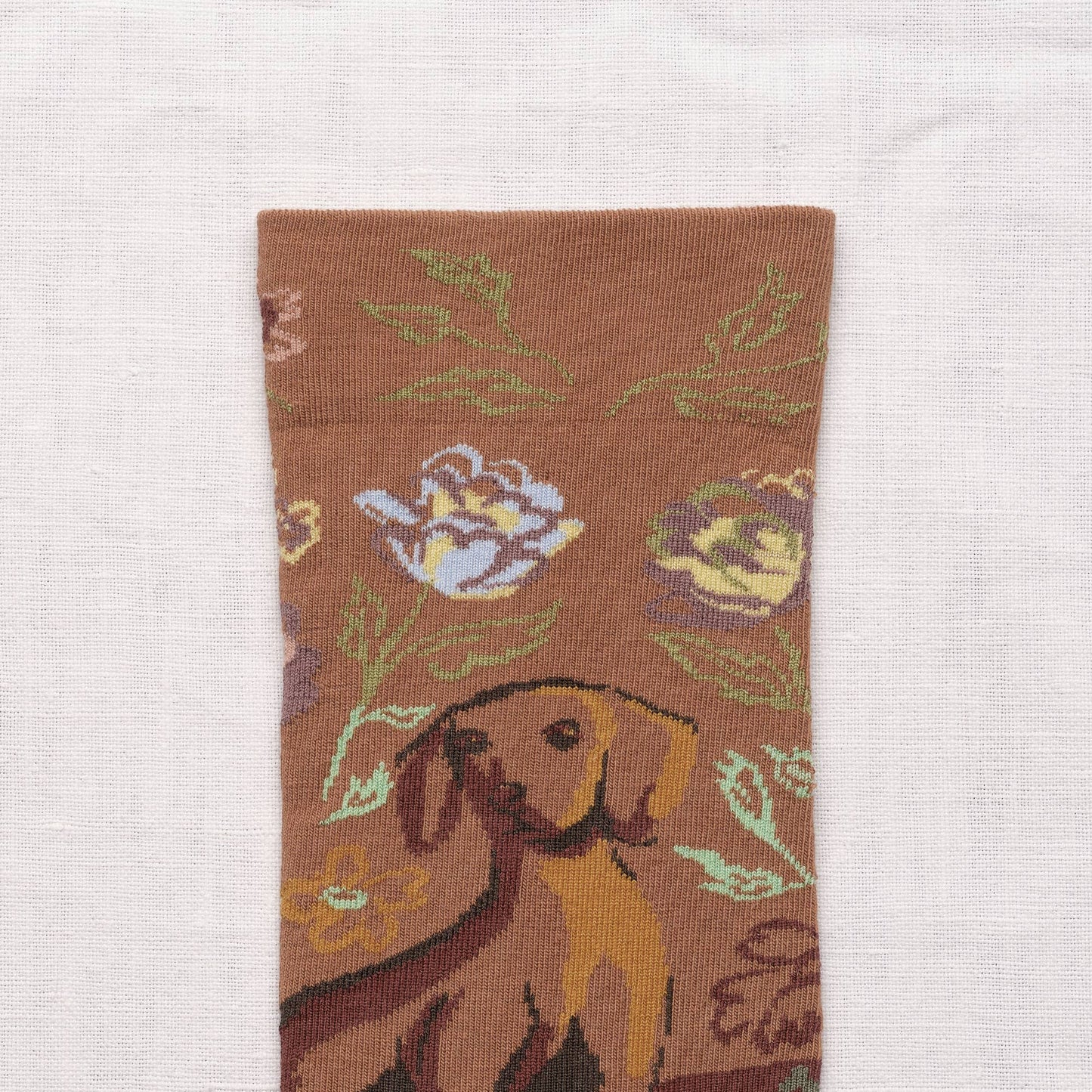 Meias Cão Caramelo, Bonne Maison