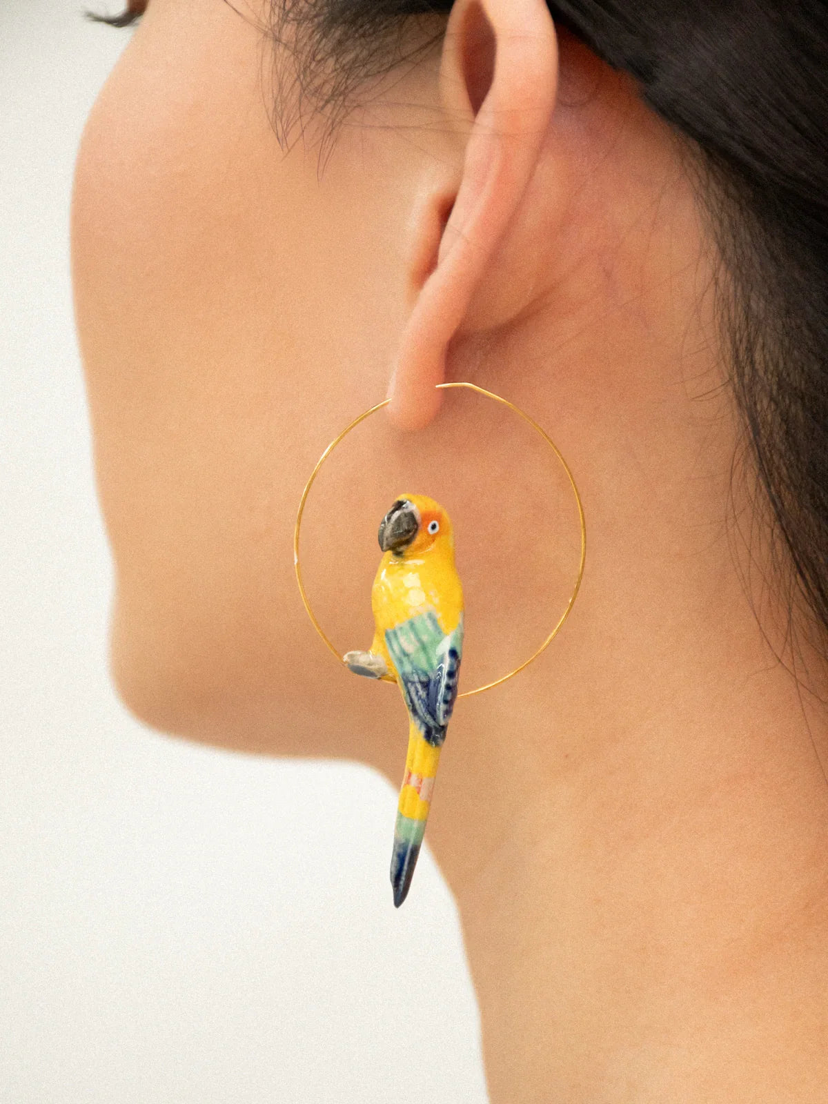 Brincos Oiseau Conure Soleil J256, Nach Bijoux